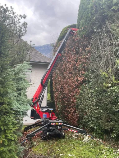 Taille de haie à la nacelle