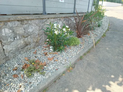 Création d'un massif à St Imsier