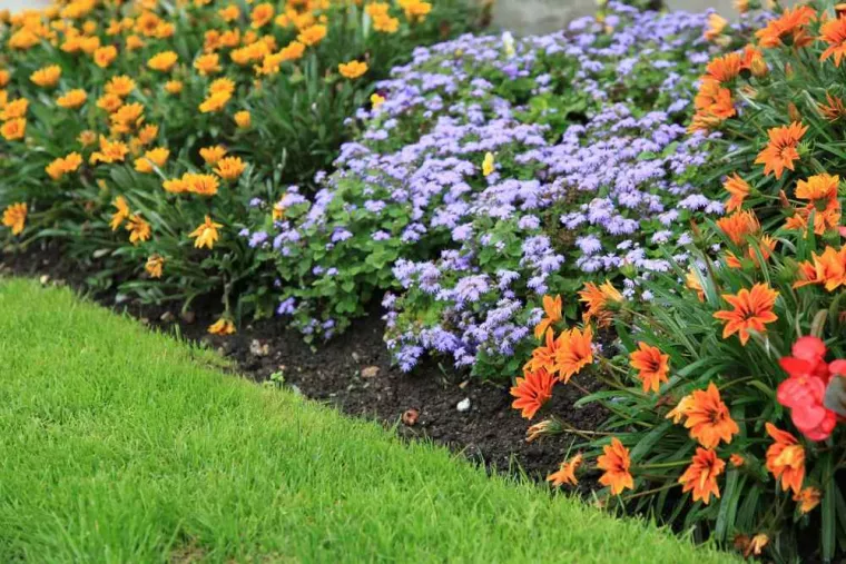 Création d'un extérieur coloré avec notre service d’entretien de massifs de jardin, Échirolles, Eden Parc Paysage