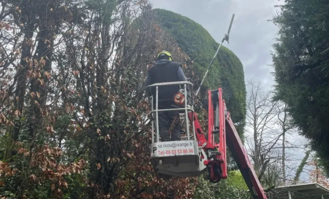 Taille de haie à la nacelle