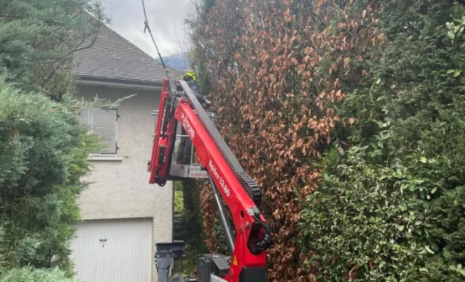 Taille de haie à la nacelle