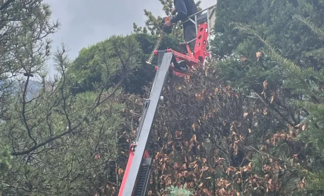 Taille de haie à la nacelle