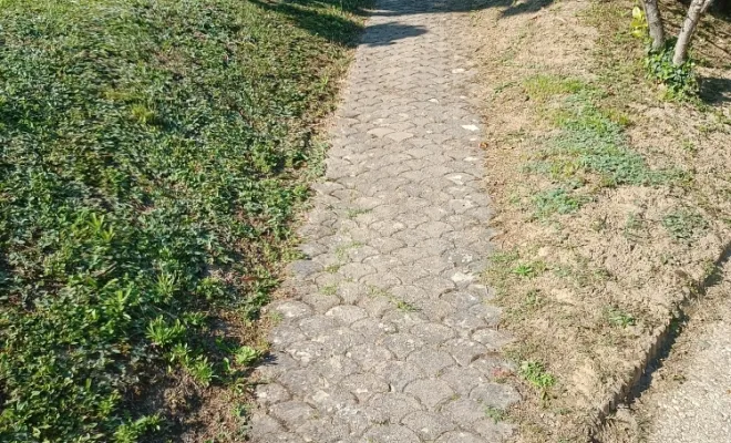 Création d'une allée en pavés - avant
