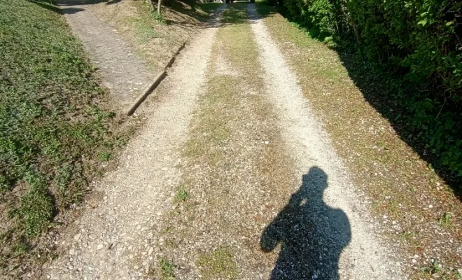 Rénovation allée - avant