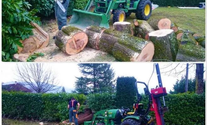 Travaux d'élagage, Échirolles, Eden Parc Paysage
